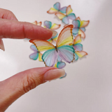 More Edible Wafer Paper Butterflies RAINBOW - 24 pack