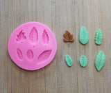 Assorted Leaves Silicone Mould