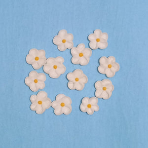 5 petal small flower white