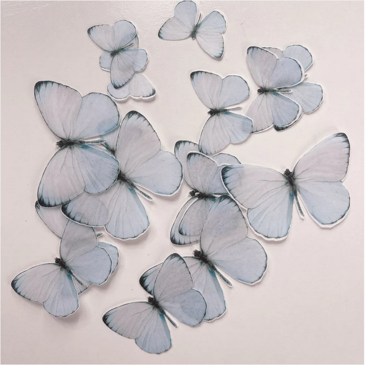 More Edible Wafer Paper Butterflies PRETTY IN BLUE- 24 pack – Cake Bake ...