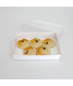 Biscuit Box Rectangle with Clear Lid 25x17cm (10x7x2 inch)